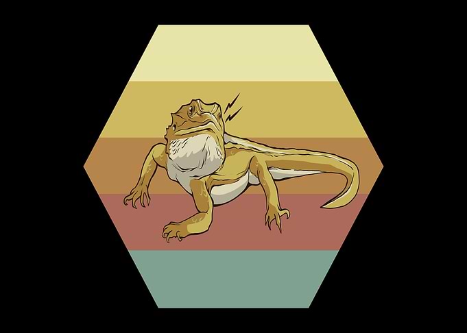 Lizards Bearded Dragons Re
