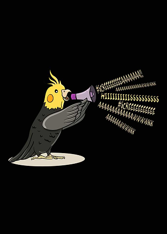 Cockatiel Bird Gift