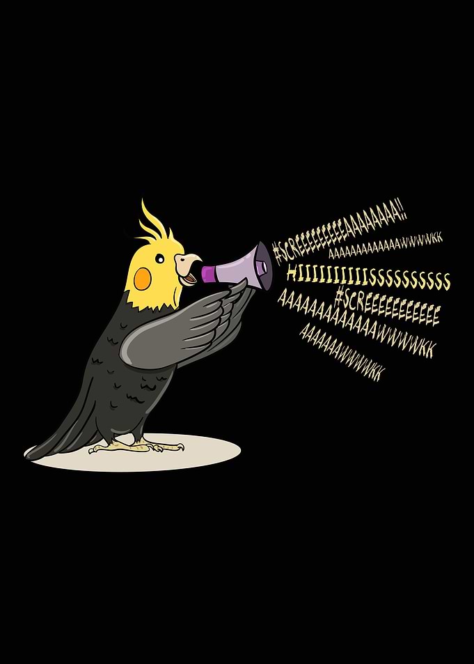 Cockatiel Bird Gift