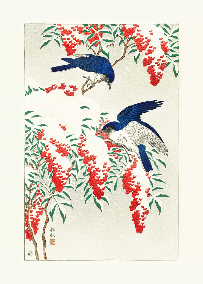Flycatchers
