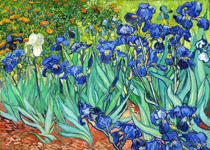Irises Vincent van Gogh