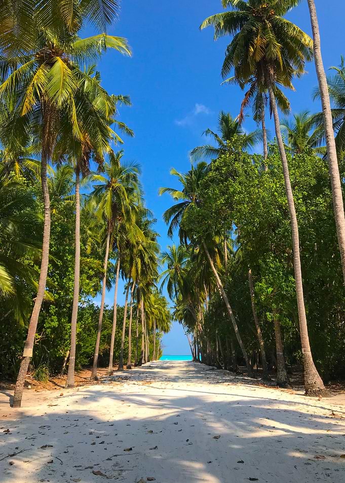 Sandy Palm way to the Sea