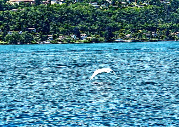 Lake Maggiore