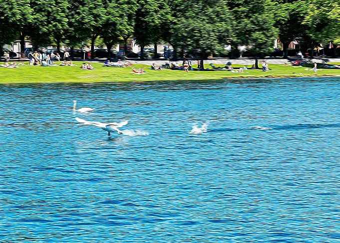 Lake Maggiore
