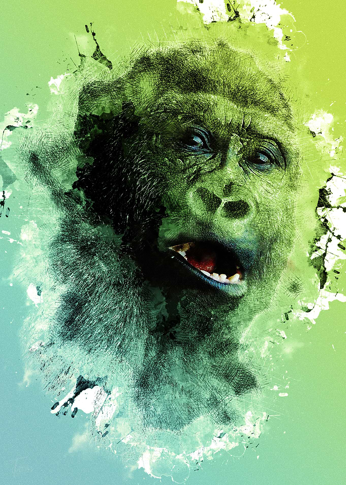 Gorilla