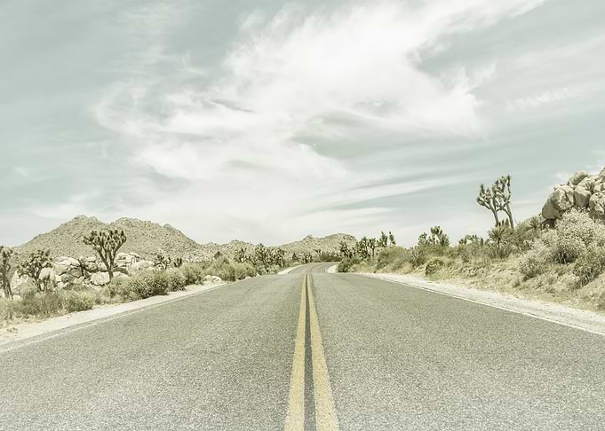 Highway and Joshua Trees