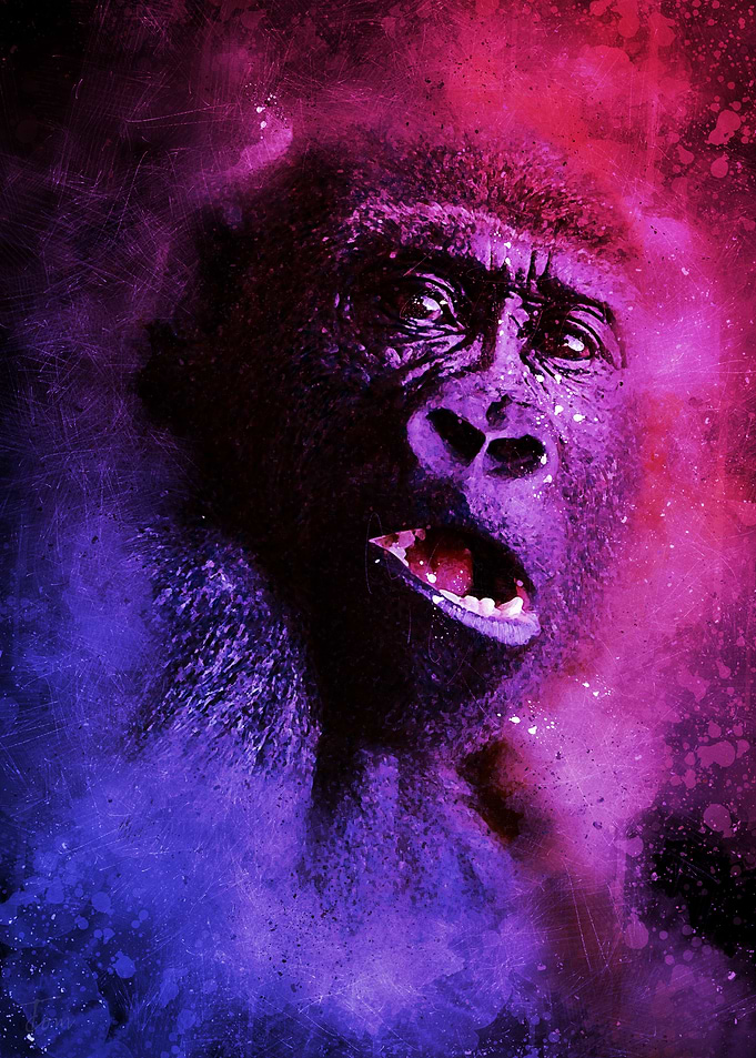 Gorilla
