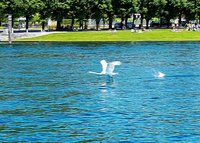 Lake Maggiore