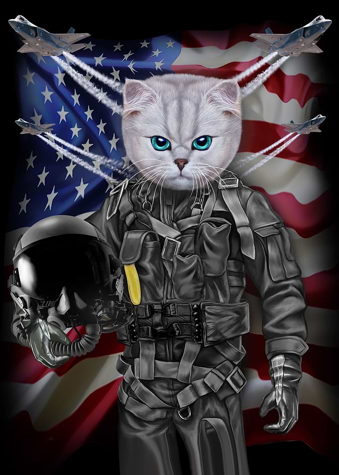 Cat in Air Force
