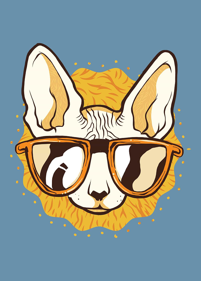 cool cat with sunglasses