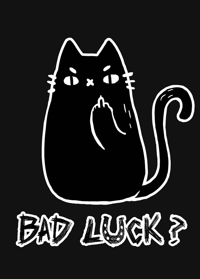 Bad Luck Black Cat