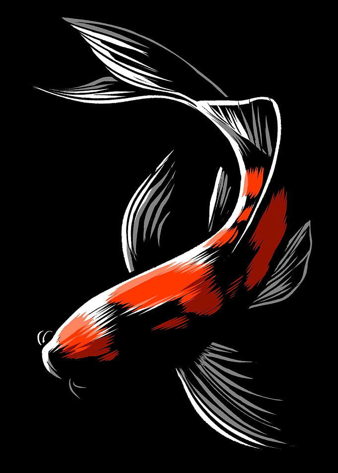 Black Japanese carp