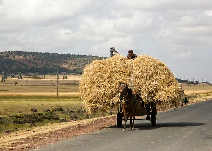 cart laden with straw