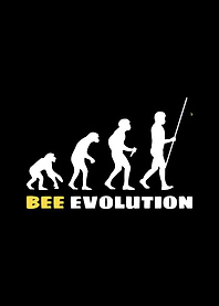 Bee Evolution