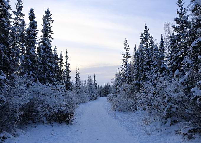 Yellowknife countryside 01