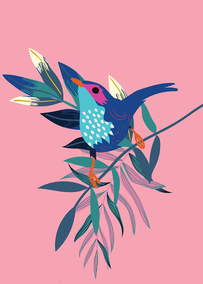 Bird Nature flying