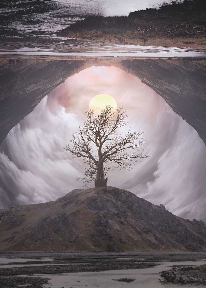 magical tree