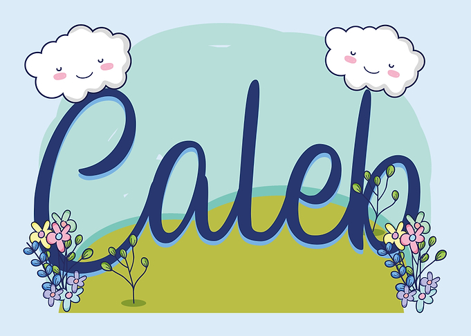 CALEB Baby Name Sign Gift