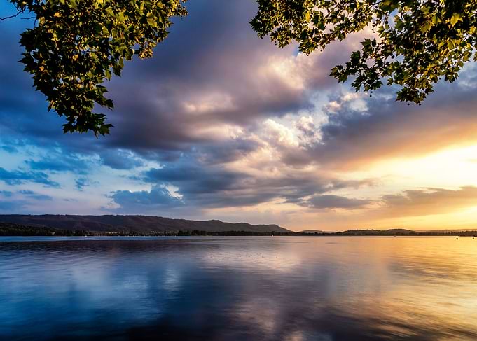 lake leaves