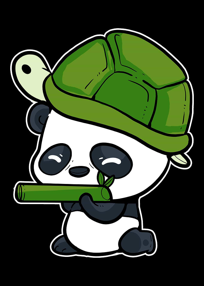 Panda Soldier Animal Activ