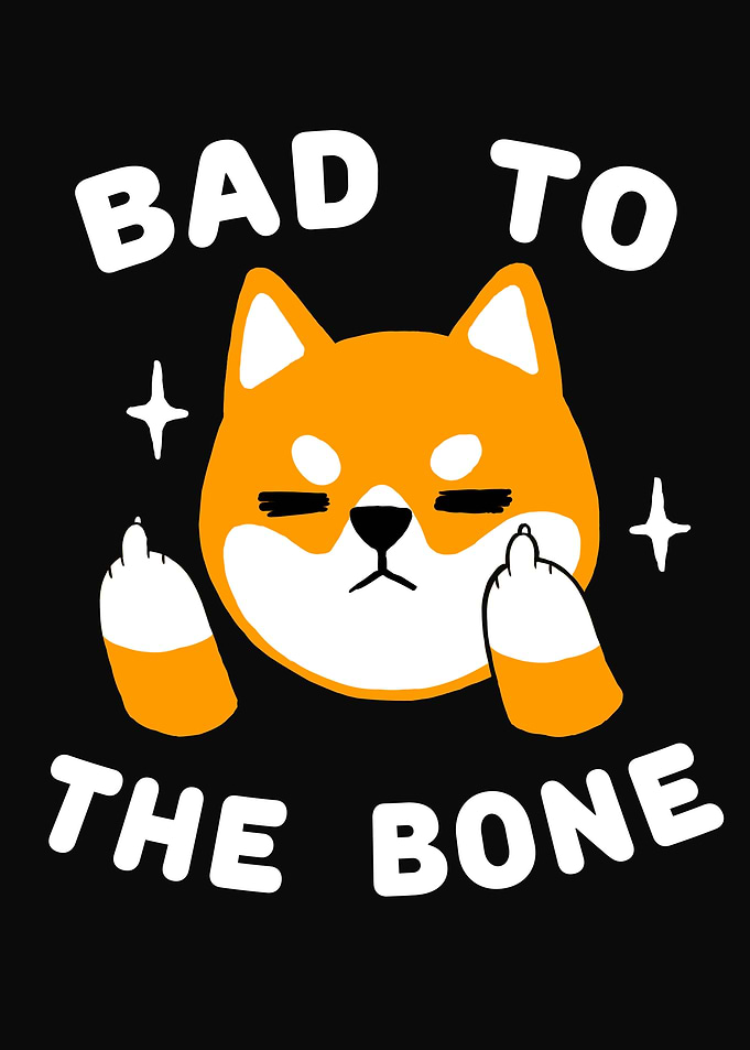Bad Shiba Inu Boy