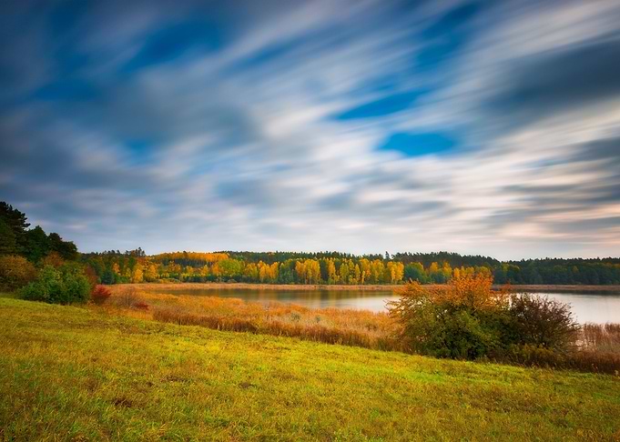 Forest Nature Autumn Fall