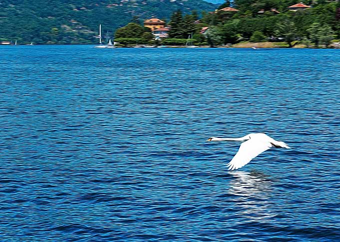 Lake Maggiore