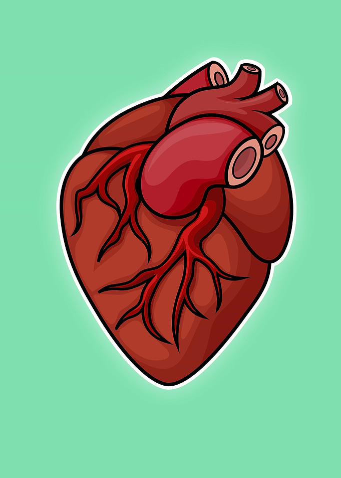 Hearth Minimalist Vector
