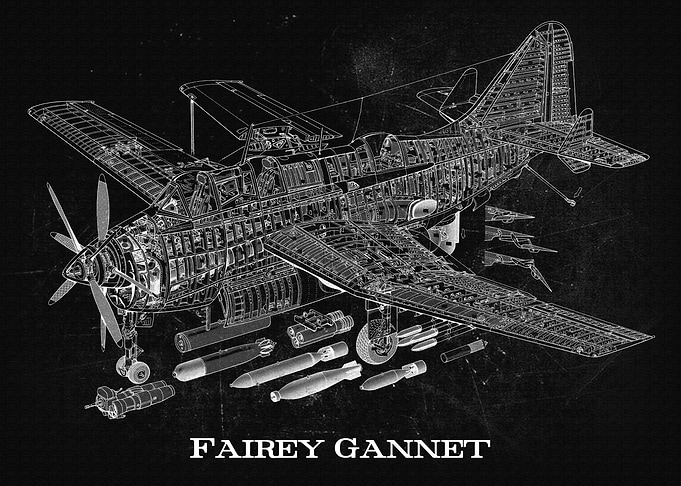 Fairey Gannet