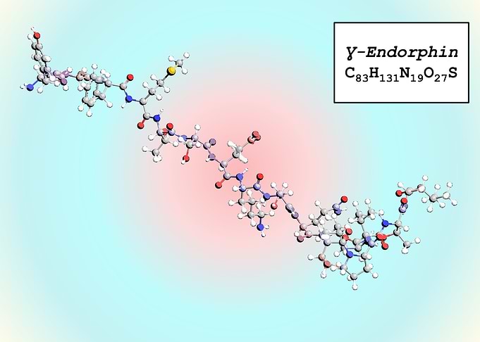 Gamma Endorphin