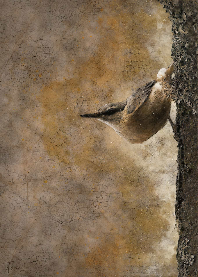 Nut hatch
