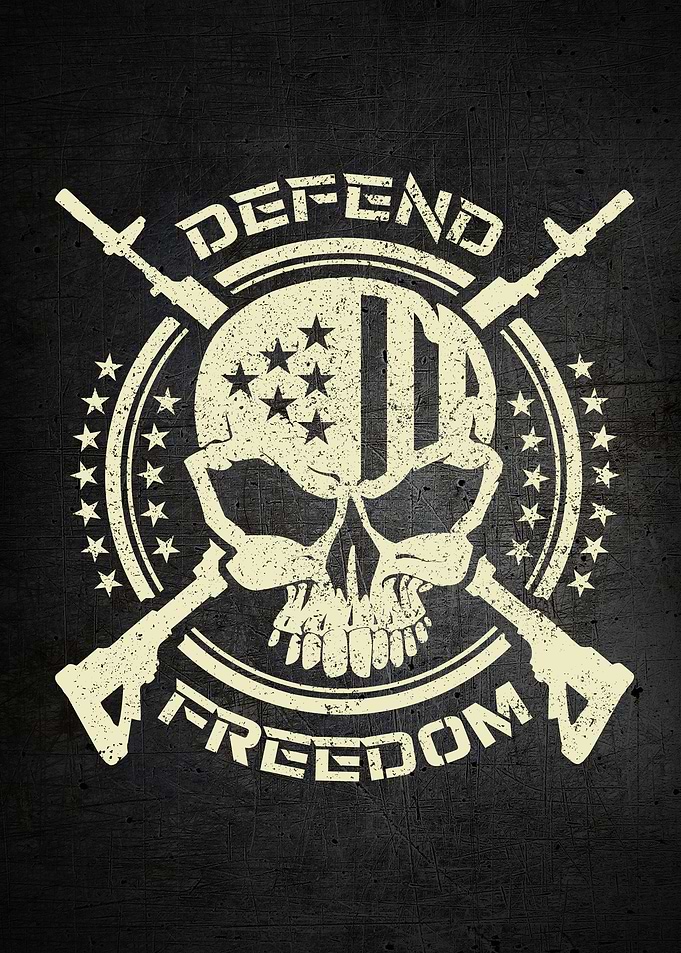 Defend Freedom USA Skull