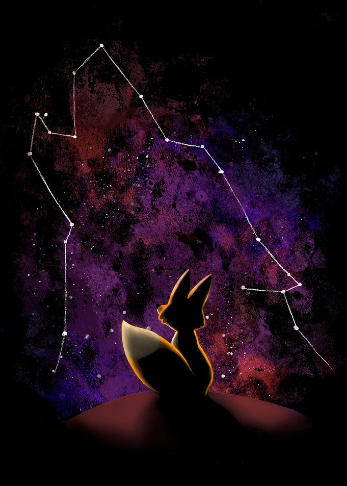 Dream Big Fox Stars
