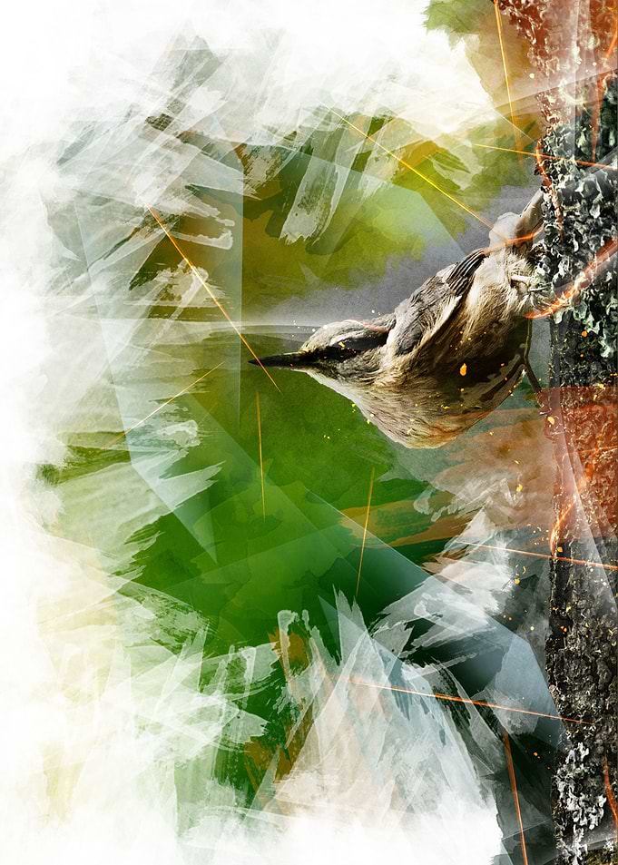 Nut hatch