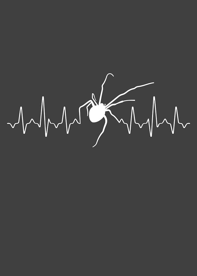Spider Heartbeat