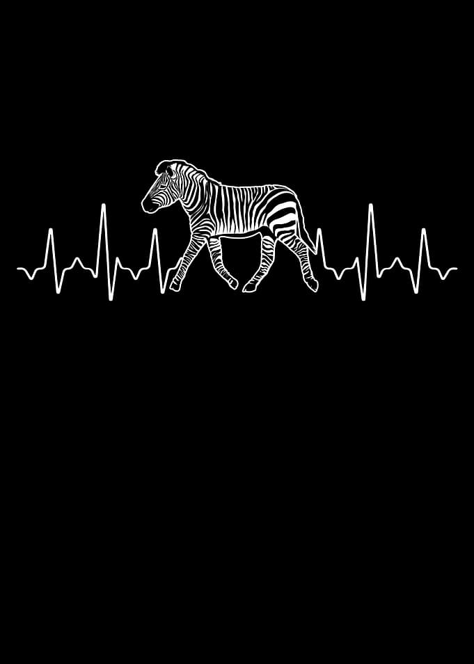 Zebra Heartbeat