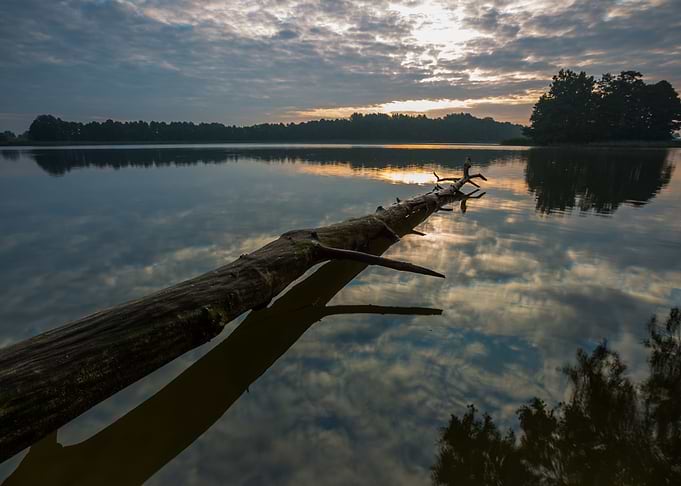 Lake Horizon Nature Reflec