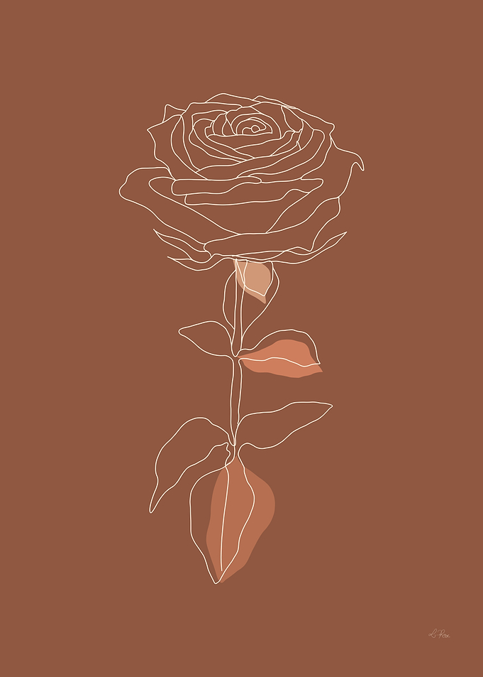 Rosa Light