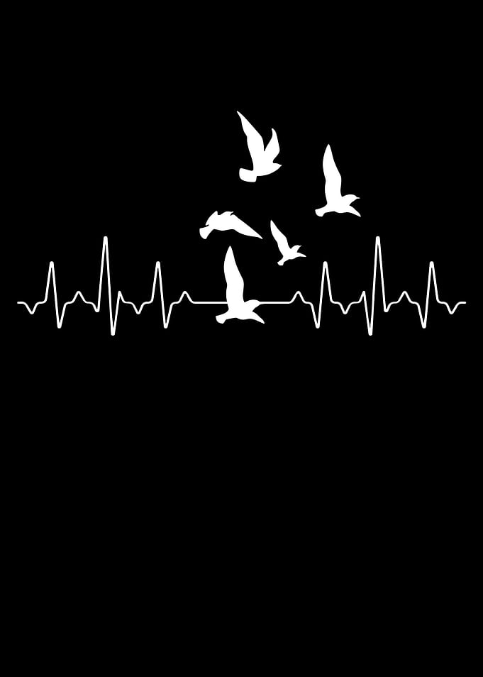 Bird Heartbeat