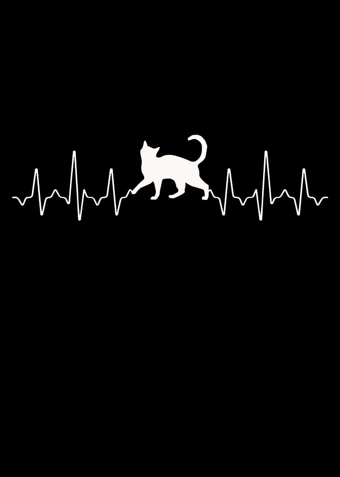 Cats Heartbeat