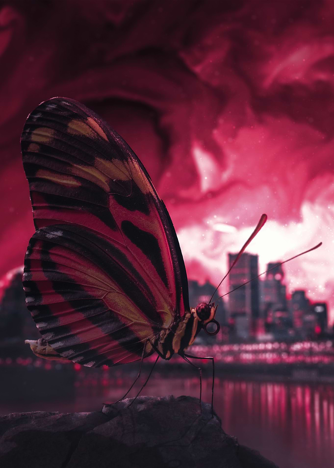 Invasion