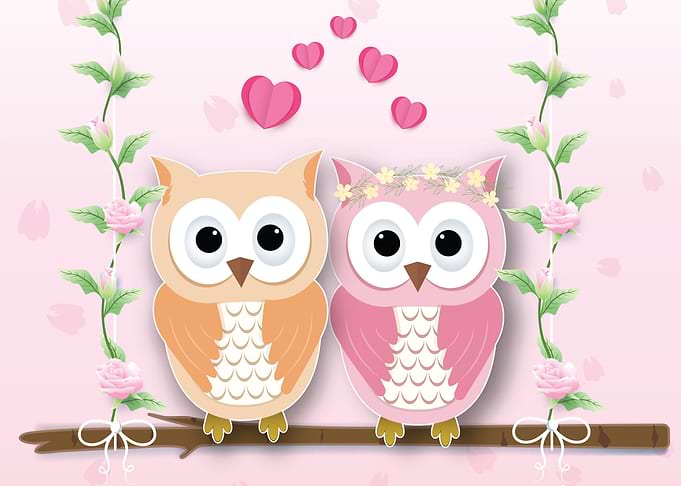 Couple owl