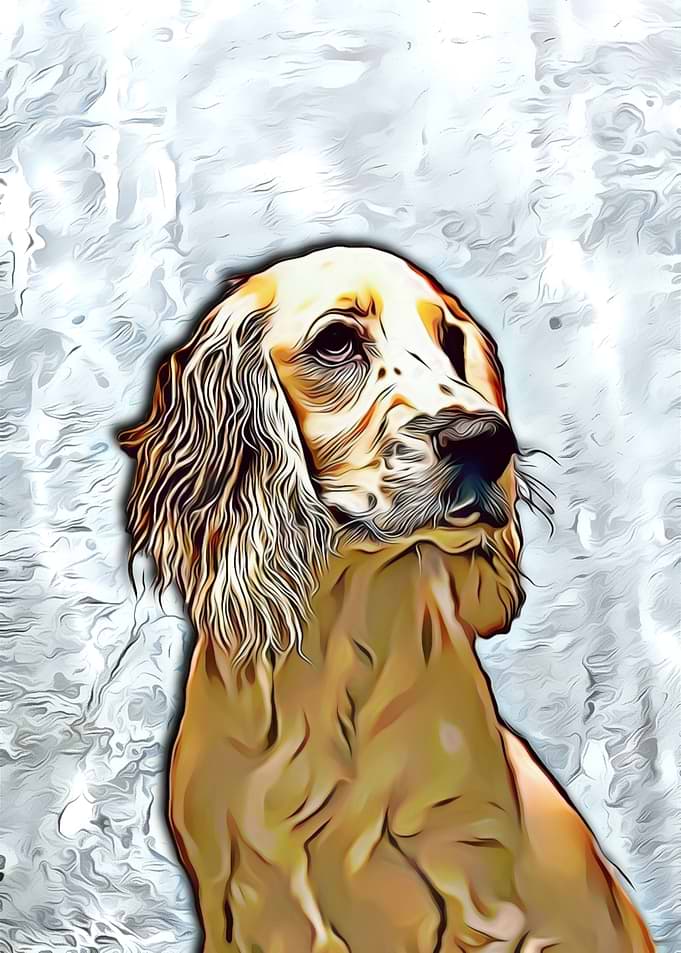 Retriever dog painting