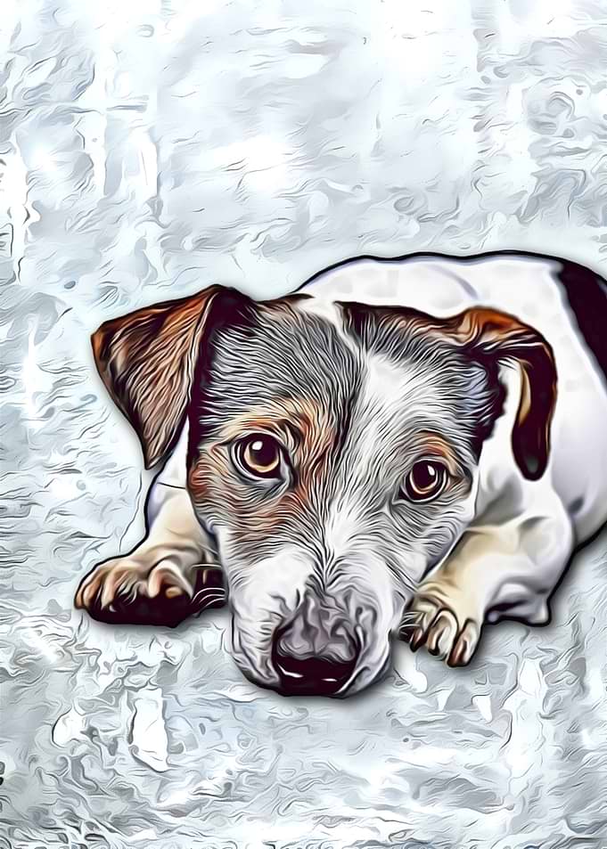 Jack Russel Dog painting