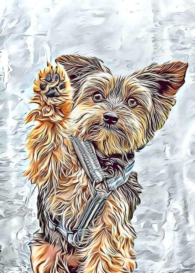 Yorkshire Terrier painting
