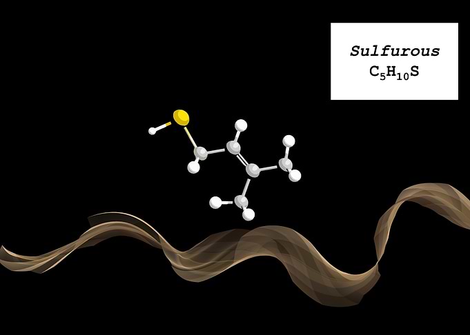 Coffee Aroma Sulfurous