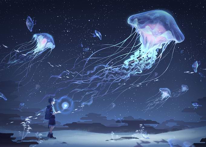Jellyfishlan