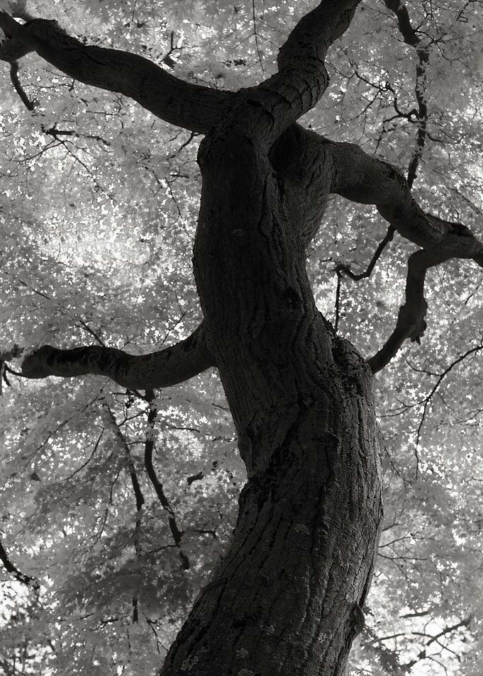Dancing girl