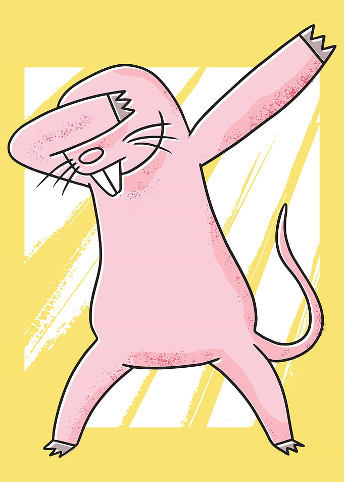 Dabbende nude rat