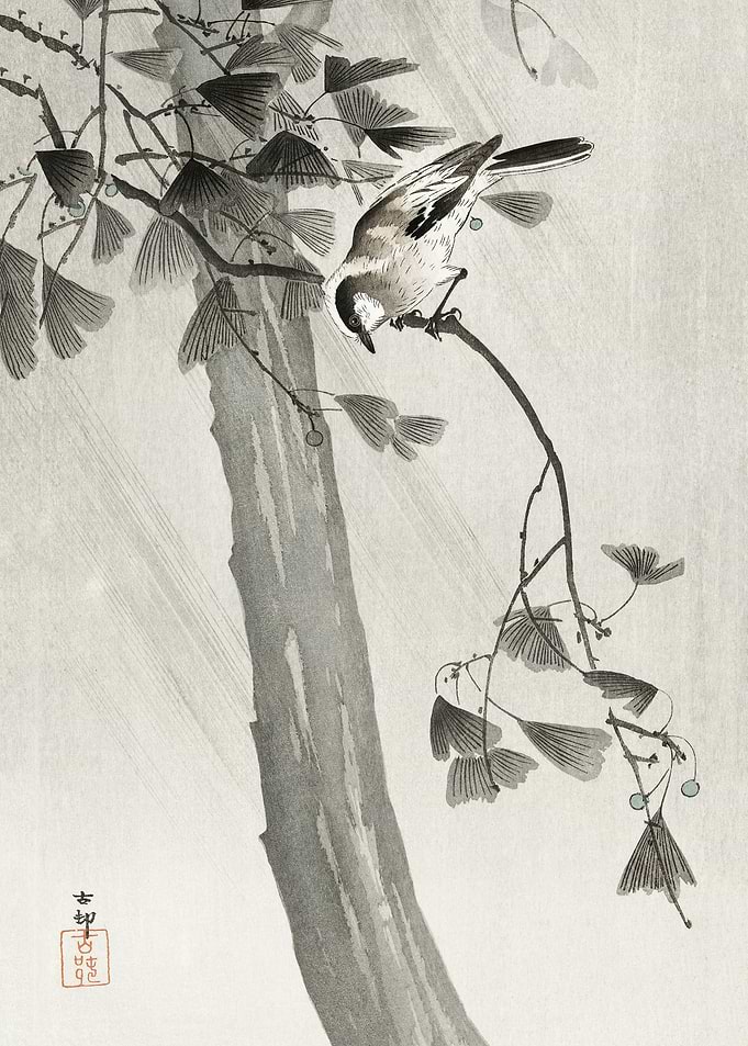 Long tailed tit in storm